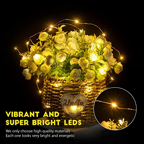 FRIDEKO HOME 1pc 30 LED Wire Lights Battery Operated - Battery Powered Fairy Lights for Bedroom, 3m/10ft Indoor Decorative String Lights for Wedding, Party, Christmas, Tree Decoration Warm White