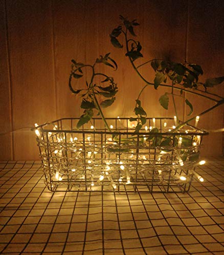 GHJ 50/100/200 LED Battery Operated Remote Control Rainproof String Fairy Lights Indoor/Outdoor for Christmas Tree Xmas Garden Party (100LEDs, Warm White)