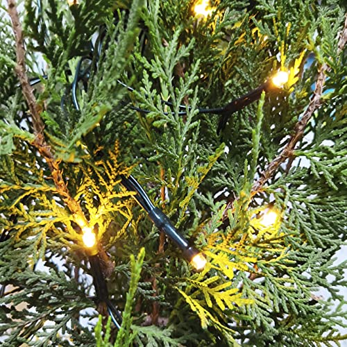 200 LED Battery Operated Christmas Lights On Dark Green Cable, Waterproof Indoor/Outdoor String Fairy Lights with Remote Control for Xmas Tree, Garden, Party