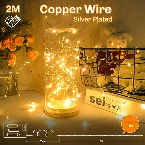 cshare Battery Fairy Lights, Battery Operated String Lights 20 LEDs 2m/6.56ft Copper Wire Light IP65 Waterproof for Christmas Tree Bedroom Gifts Indoor Halloween Decorations(Warm White)
