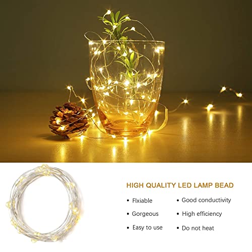 Fairy Light Battery Operated 2Pack LED Lights with Timer Setting Warm White String Lights, 2M 2Pack Silver Wire Starry Lighting, for Bedroom, Indoor, Christmas Tree, Wedding Decor Idea Put in Jars