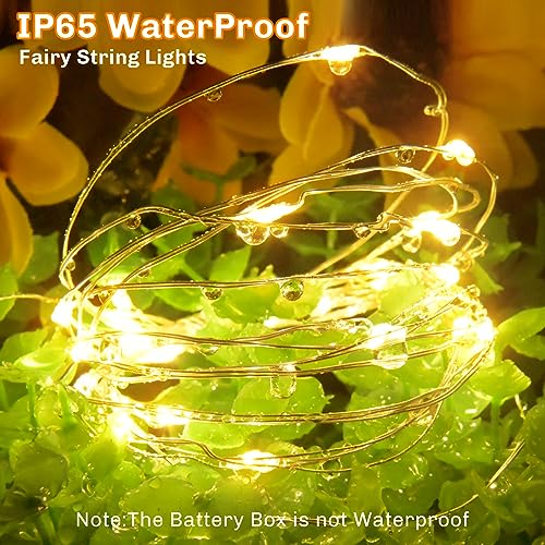 cshare Battery Fairy Lights, Battery Operated String Lights 20 LEDs 2m/6.56ft Copper Wire Light IP65 Waterproof for Christmas Tree Bedroom Gifts Indoor Halloween Decorations(Warm White)