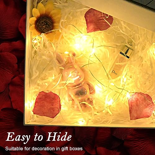 cshare Battery Fairy Lights, Battery Operated String Lights 20 LEDs 2m/6.56ft Copper Wire Light IP65 Waterproof for Christmas Tree Bedroom Gifts Indoor Halloween Decorations(Warm White)