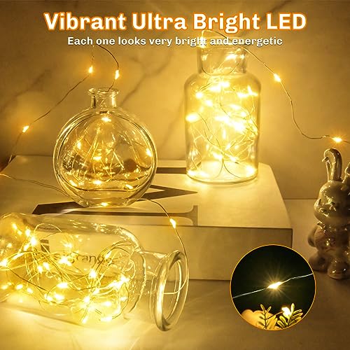 cshare Battery Fairy Lights, Battery Operated String Lights 20 LEDs 2m/6.56ft Copper Wire Light IP65 Waterproof for Christmas Tree Bedroom Gifts Indoor Halloween Decorations(Warm White)