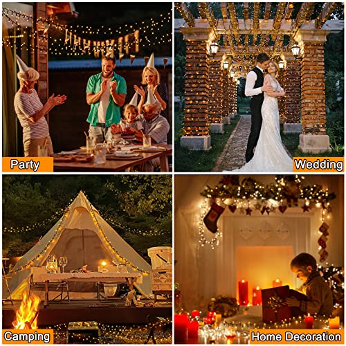 Vacoulery Fairy Lights Mains Powered 20M 200 LED Warm White Fairy Lights 8 Modes Fairy Lights Plug in with Remote Control & Timer for Christmas Outdoor Indoor Garden(Black Cable)