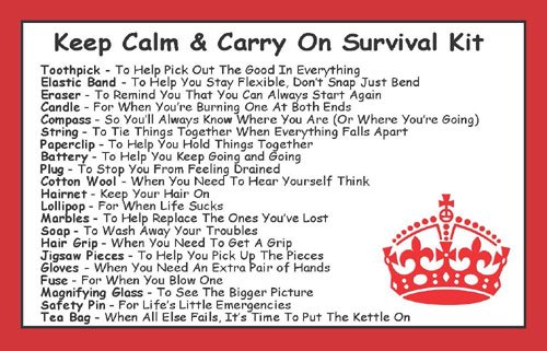 Keep Calm & Carry On Survival Kit In A Can. Humorous Fun Gift For A Birthday Christmas Retirement Good Luck New Job & Leaving. Ideal For Work Office Boss Friend Dad Him Men Present & Card