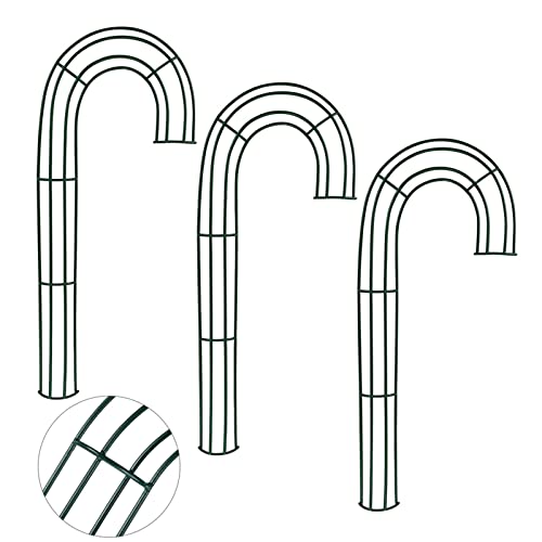 3Pack 12Inch Green Christmas Wire Wreath Frame Candy Cane Shaped Metal Wreath Frame Making Wire Wreath Form Flower Wreath Frames for DIY Floral Crafts Xmas New Year Door/Wall Decor Wreath Supplies…