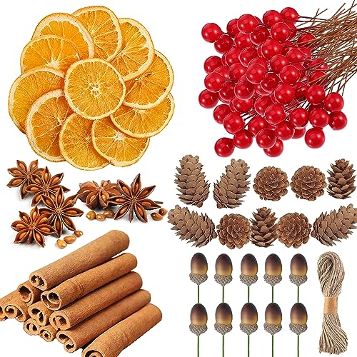 225 Pcs Christmas Wreath Making Supplies, Dried Orange Slices and Cinnamon Sticks, Star Anise, Red Berries Mini Pine Cones Kit, Wreath Accessories Floral Supplies for Xmas Craft Decorations