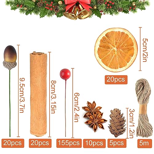 225 Pcs Christmas Wreath Making Supplies, Dried Orange Slices and Cinnamon Sticks, Star Anise, Red Berries Mini Pine Cones Kit, Wreath Accessories Floral Supplies for Xmas Craft Decorations
