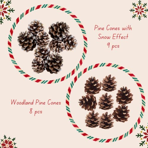 Christmas Wreath Making Supplies - Wreath Garland, Pine Cones for Decoration, Artificial Berries, Bells, Hook - Christmas Wreath Making Kit, Christmas Wreath Decorations, Christmas Craft Supplies