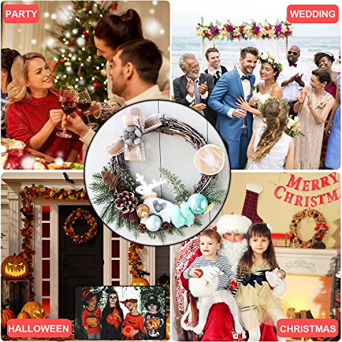 2 Pieces 30 cm Large Natural Grapevine Wreathes Vine Branch Wreath Halloween Rattan Wreath for Easter Door/Wall Decor Hand-woven Christmas Wreath (30cm)