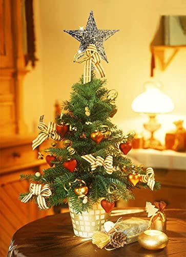 Glittery 5 Point Christmas Tree Star: Indoor Decoration