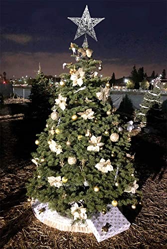 Glittery 5 Point Christmas Tree Star: Indoor Decoration