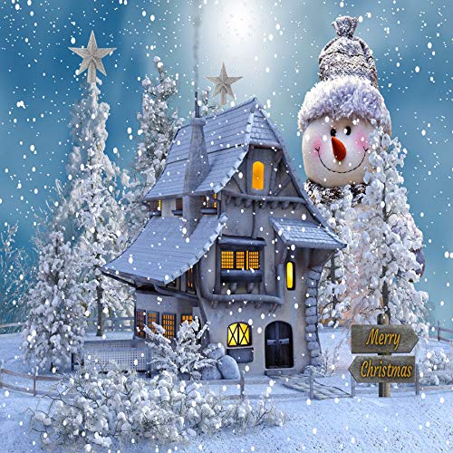 Glitter Star Tree Topper - Silver, 4 Inch