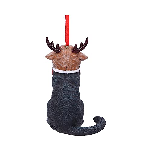 Nemesis Now Reindeer Cat Hanging Ornament (LP) 9cm, Black, Christmas
