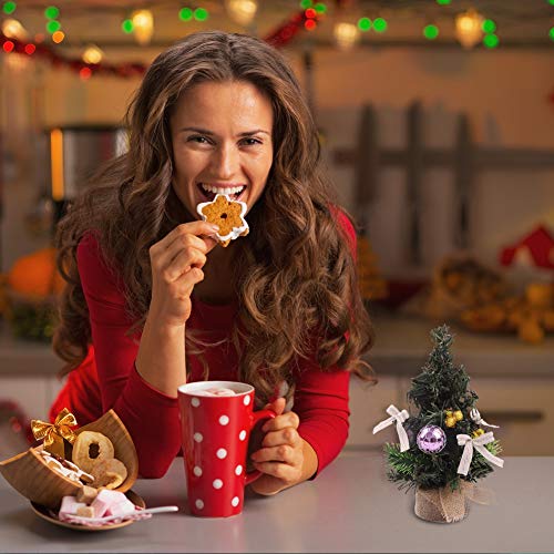 Frosty Mini Christmas Trees Set for Tabletop Decor