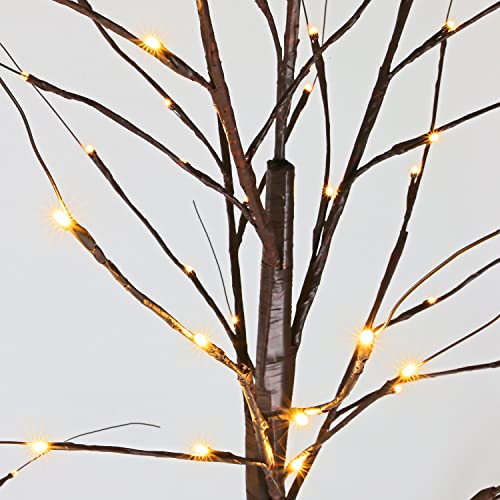 6FT Brown Birch Tree with 96 Warm White Lights