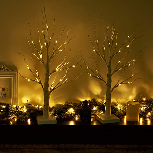 2 Small Birch Twig Tree Lights with 24 Warm White LEDs for Xmas