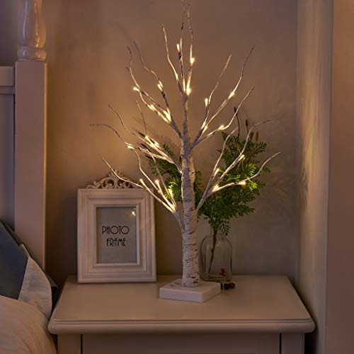 2 Small Birch Twig Tree Lights with 24 Warm White LEDs for Xmas