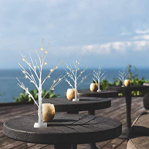 2 Small Birch Twig Tree Lights with 24 Warm White LEDs for Xmas