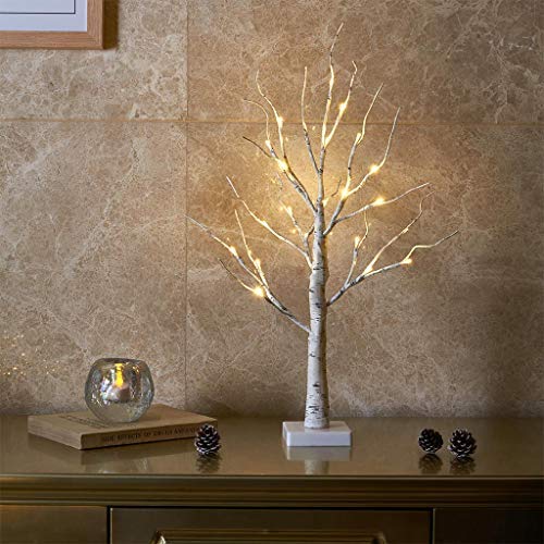 EAMBRITE White Christmas Tree with Lights Mini Birch Twig Tree Ornament with 24 Warm White LEDs Battery Operated Tabletop Decoration for Christmas Home Party Wedding (60cm/2ft)