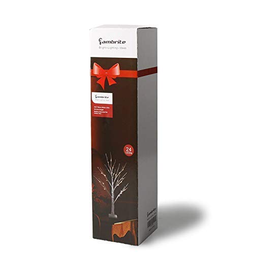 EAMBRITE White Christmas Tree with Lights Mini Birch Twig Tree Ornament with 24 Warm White LEDs Battery Operated Tabletop Decoration for Christmas Home Party Wedding (60cm/2ft)