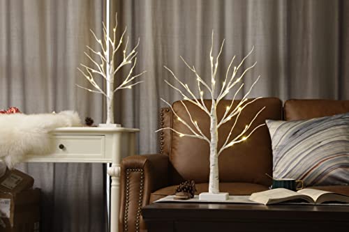 EAMBRITE White Christmas Tree with Lights Mini Birch Twig Tree Ornament with 24 Warm White LEDs Battery Operated Tabletop Decoration for Christmas Home Party Wedding (60cm/2ft)