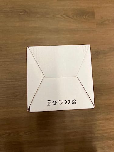 EAMBRITE White Christmas Tree with Lights Mini Birch Twig Tree Ornament with 24 Warm White LEDs Battery Operated Tabletop Decoration for Christmas Home Party Wedding (60cm/2ft)