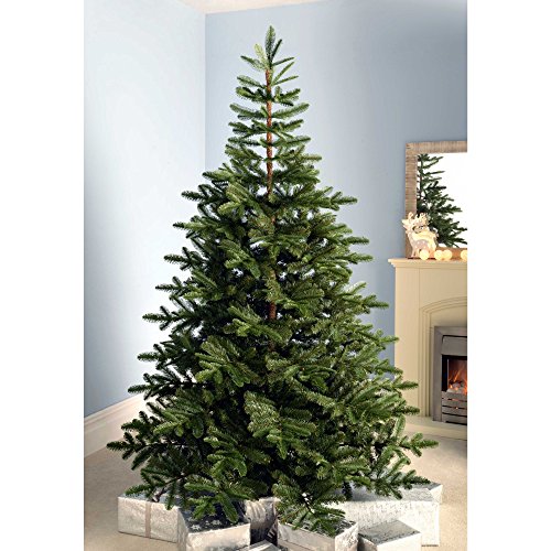 Christmas Tree - 6ft Nordmann Fir Green