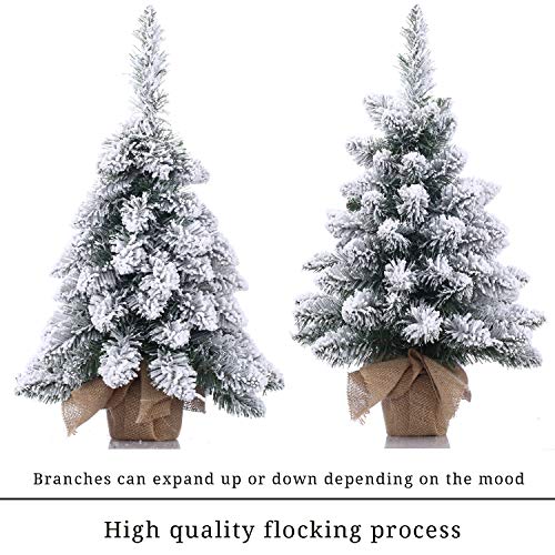 Snow Flocked Mini Christmas Tree with LED Lights