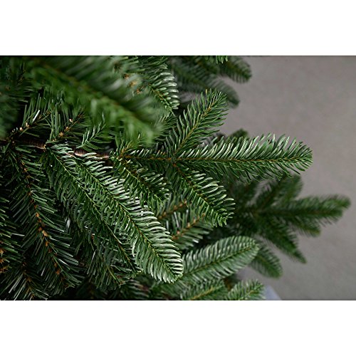 Christmas Tree - 6ft Nordmann Fir Green