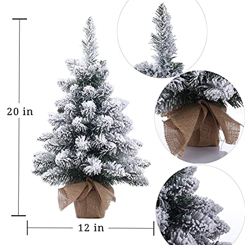 Snow Flocked Mini Christmas Tree with LED Lights