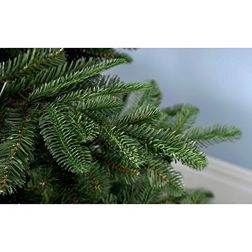 Christmas Tree - 6ft Nordmann Fir Green