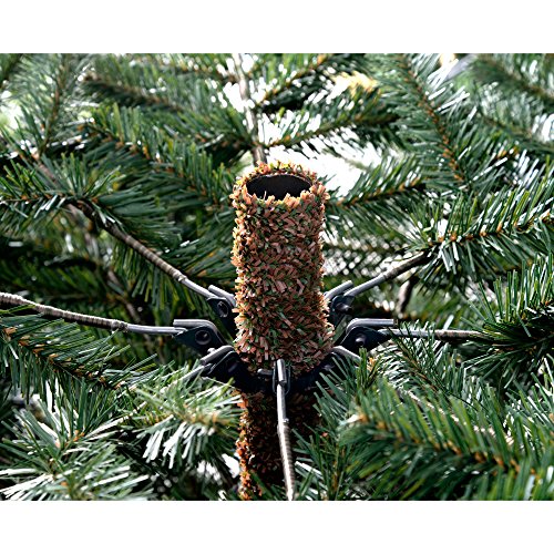 Christmas Tree - 6ft Nordmann Fir Green