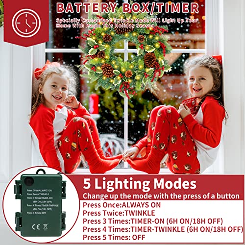 Pre-lit 24-Inch Christmas Wreath with LED Lights