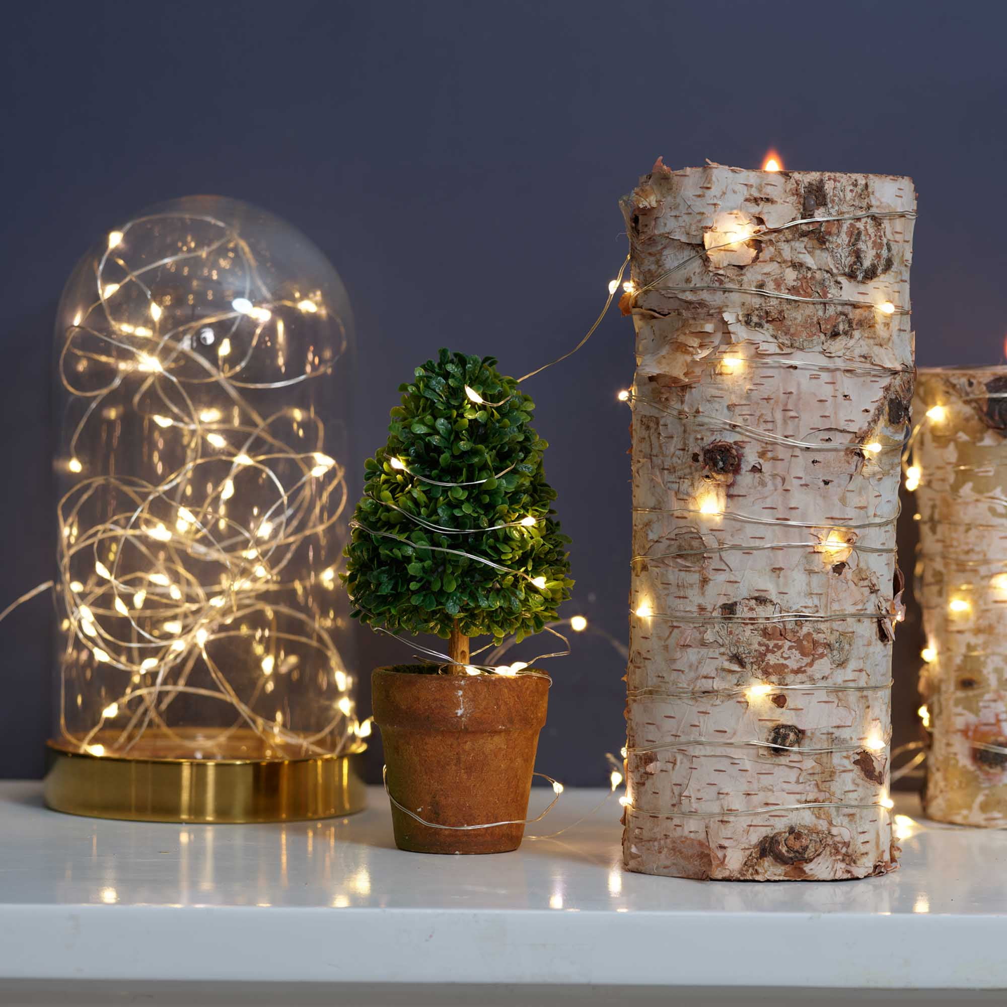 Indoor 50-Count LED Christmas Lights