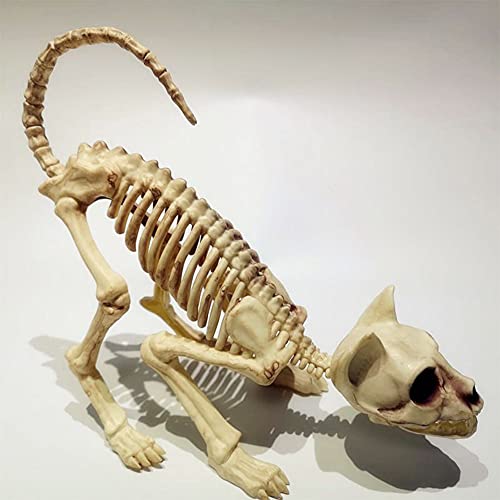 Crouching Cat Skeleton Cat Skull Model Creepy Scary Animal Bones Lifelike Cat Bone Halloween Decorations,Halloween Props Animal Skeleton Halloween Supplies- Cat Skeleton Scary Model Creepy Animal