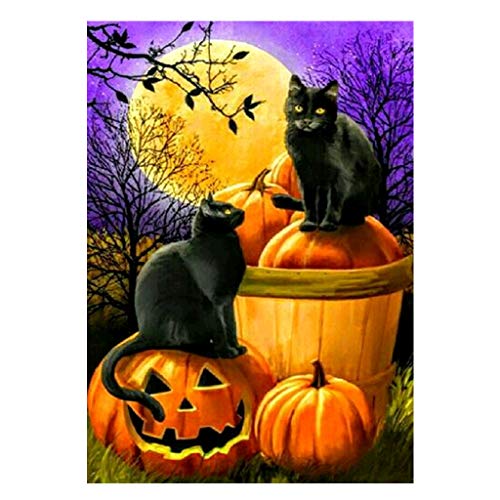DIY Square 5D Full Diamond Painting Kits Pumpkin Cat Halloween Crystal Rhinestone Embroidery Cross Stitch Arts Craft Supply Canvas Painting by Diamonds for Home Wall Decor30X40cm