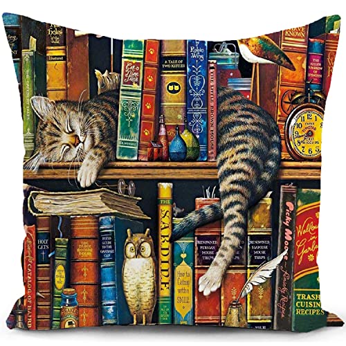 HUASHUZI Cat Cushion Cover Cat Gift for Cat Lovers Pillow Cover Cat Sleeping Reading Book Bookshelf Decor Study Home Throw Pillow Case Decorate for Livingroom Couch Bed Sofa 18"x18"(45x45cm)