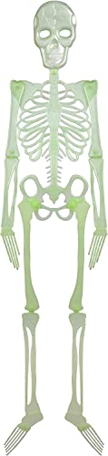VFM - Halloween Hanging Skeleton 4ft - Terrifying Glow In The Dark Decoration Super Spooky Skull Bones Party Prop For Inside Or Outside Use - Haunted House