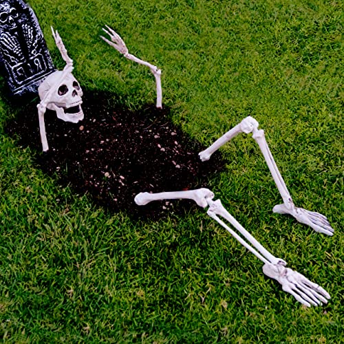 Prextex Halloween Decorations Outdoor Skeleton: Life Size Skull, Arms and Feet Set, Ideal for Home and Garden Decor, Spooky Party Ornament, Halloween Tree, Haunted House and Table Decoration