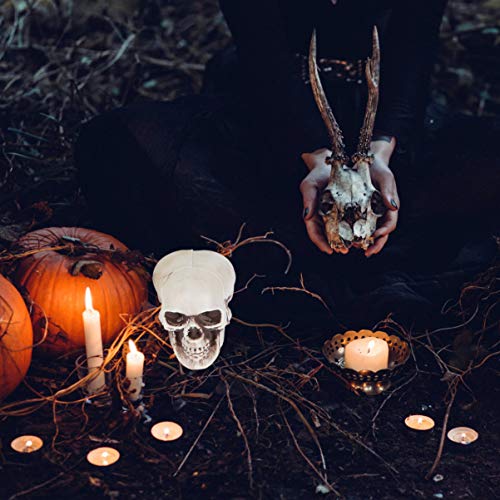 TOYANDONA 4pcs Halloween Skulls Looking Plastic Skeletons Head Skull Halloween Bar Home Table Decoration