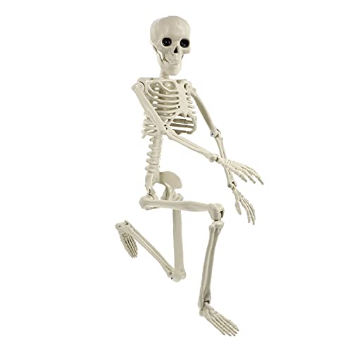 TOYANDONA Life Size Human Skeleton: Halloween Prop Decorations- with Bending Articulated Bone Joints that Stay in Place Halloween Spooky Party Favor