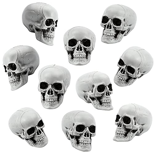 Uoeo 10 Pcs Halloween Skulls Realistic Skeleton Head Skull Plastic Human Head Skull Figurines Sculpture for Halloween Party Home Bar Table Haunted House Decoratoin