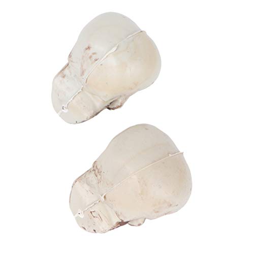 TOYANDONA 4pcs Halloween Skulls Looking Plastic Skeletons Head Skull Halloween Bar Home Table Decoration