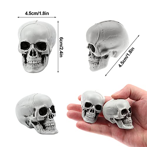Uoeo 10 Pcs Halloween Skulls Realistic Skeleton Head Skull Plastic Human Head Skull Figurines Sculpture for Halloween Party Home Bar Table Haunted House Decoratoin