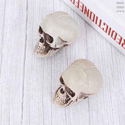 TOYANDONA 4pcs Halloween Skulls Looking Plastic Skeletons Head Skull Halloween Bar Home Table Decoration