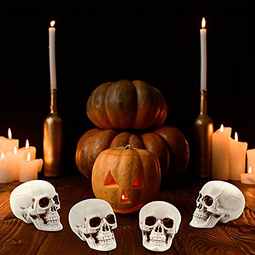 Uoeo 10 Pcs Halloween Skulls Realistic Skeleton Head Skull Plastic Human Head Skull Figurines Sculpture for Halloween Party Home Bar Table Haunted House Decoratoin