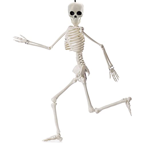 Cobee Movable Halloween Skeleton Decorations, 40 cm Skeleton Halloween Decor Full Body Skeleton Figure Movable Joints Skeleton Model Skull Decor for Halloween trick or treat Party Favor
