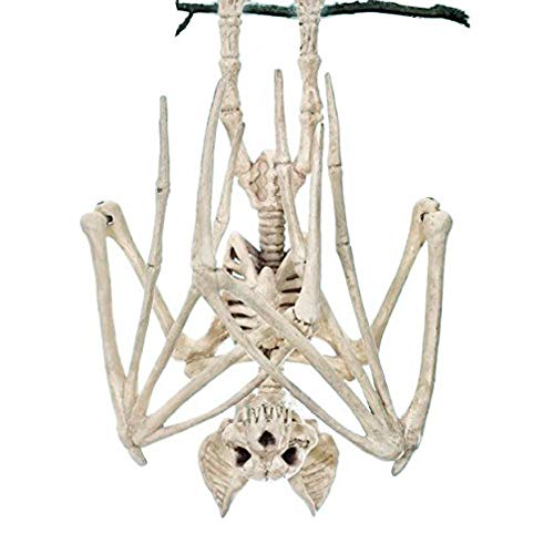 Halloween Party Decorations,Horrible Halloween Bat Skeleton Simulation Bat Skeleton Lifelike Bat Bone Halloween Decorations Halloween Props Animal Skeleton for Halloween Decoration, Bat